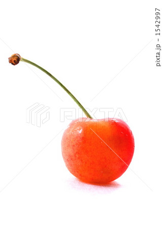 さくらんぼ さくらんぼ 1542997