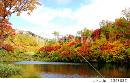 大雪山高原温泉・式部沼の紅葉 1543027