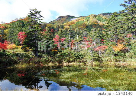 大雪山高原温泉・土俵沼の紅葉 1543140