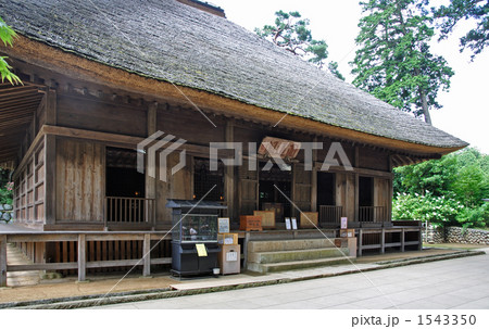 青梅散歩・塩船観音寺 青梅散歩・塩船観音寺 1543350
