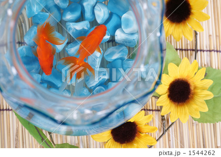金魚のイメージ 1544262