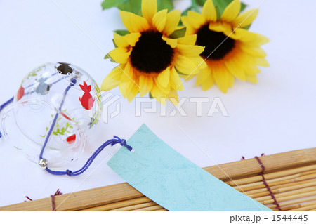 夏イメージ 1544445