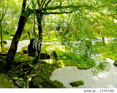 春の光明禅寺 春の光明禅寺 1545580