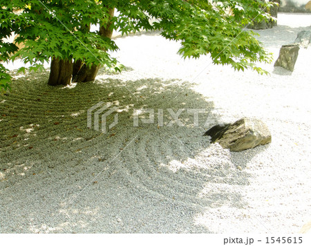 春の光明禅寺 春の光明禅寺 1545615