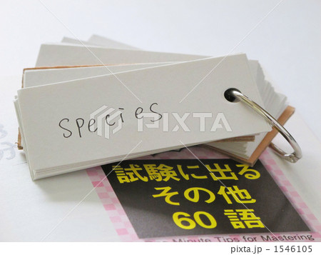 英単語の学習 英単語の学習 1546105