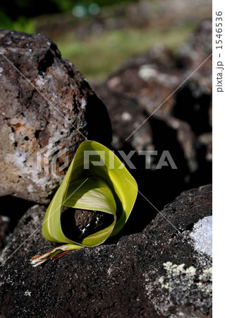 まじない石＠プウオマウカヘイアウ、ハワイ 1546536