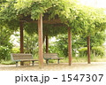 公園のベンチ 1547307