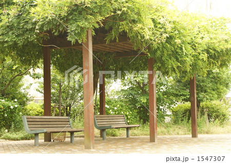 公園のベンチ 1547307