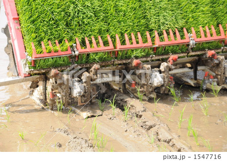 田植機で苗を植える 1547716