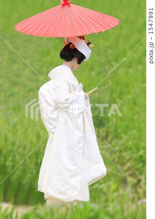 潮来花嫁さん和がさと白無垢 潮来花嫁さん和がさと白無垢 1547991