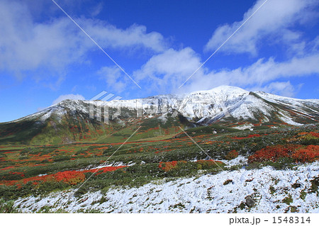 初雪と紅葉 初雪と紅葉 1548314