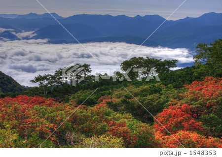 雲海と紅葉 1548353