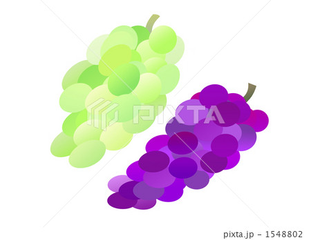 おいしそうなブドウ 1548802