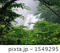 龍門滝 1549295