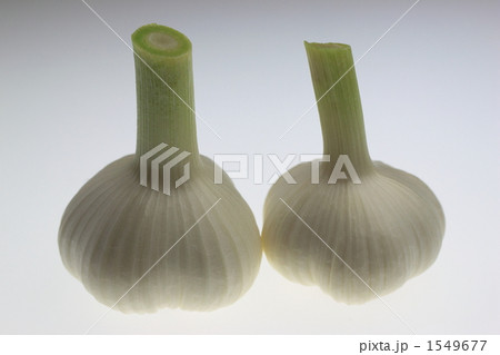にんにく にんにく 1549677