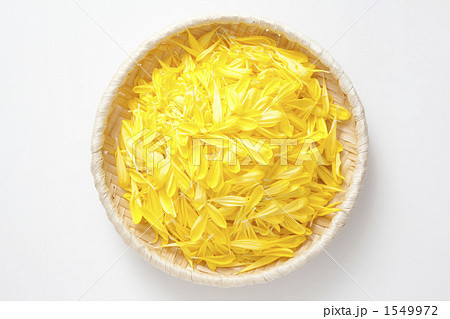 食用菊 食用菊 1549972