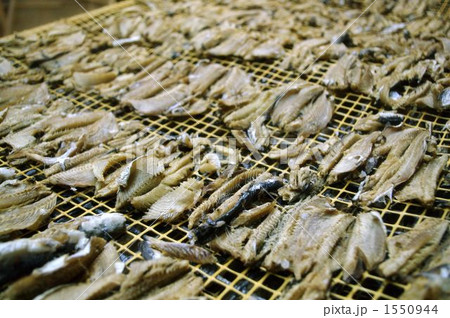 隠岐名物あごだし 1550944