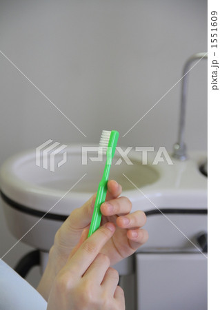 ブラッシング ブラッシング 1551609