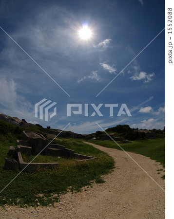 夏の墓地の道 1552088