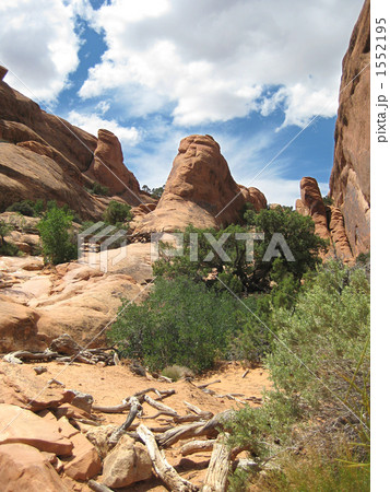 アーチーズ国立公園 1552195