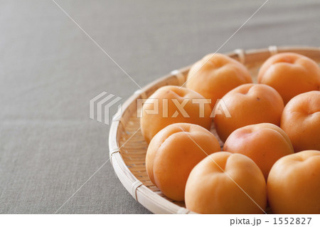 あんず あんず 1552827