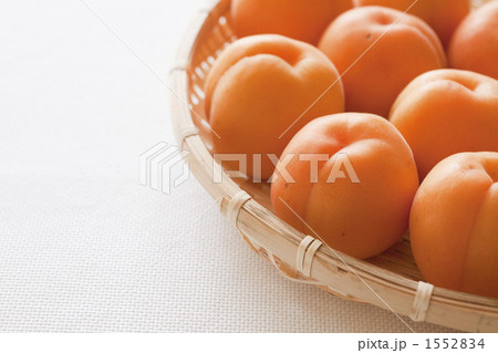 あんず あんず 1552834