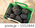 マルシェの新鮮なフルーツ：桑 1552844