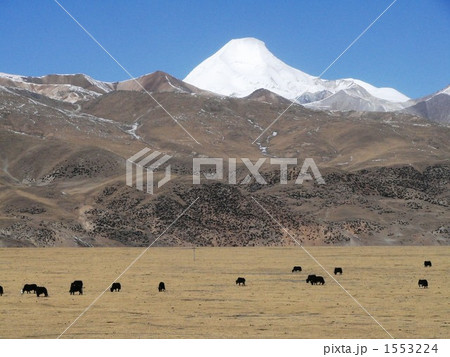 青藏鉄道車窓からみたチベット高原 1553224