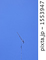 アンテナと青空 1553947