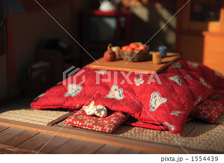 ドールハウス ドールハウス 1554439