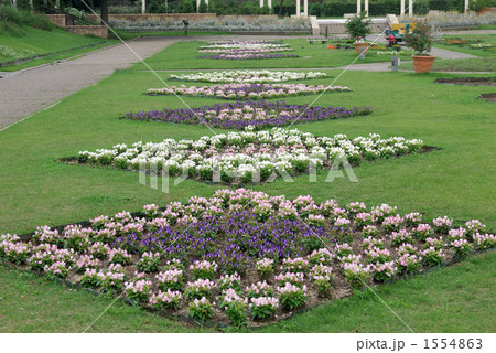 西洋花壇 西洋花壇 1554863