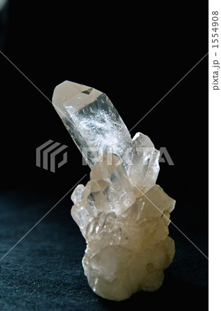 クラスター 1554908