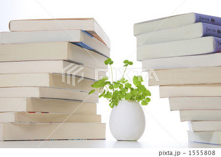 エッグプランツと本の環境イメージ 1555808
