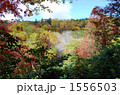 大雪山・高原温泉の紅葉 1556503