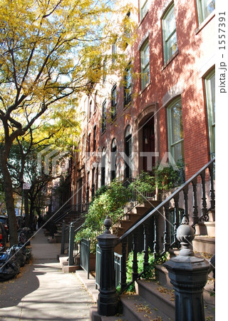 AUTOMN IN NY 1557391