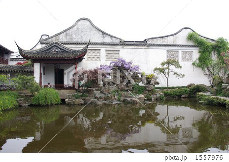 中国蘇州 古典園林「網師園」の庭園 中国蘇州 古典園林「網師園」の庭園 1557976