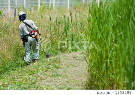 草刈り 1558598