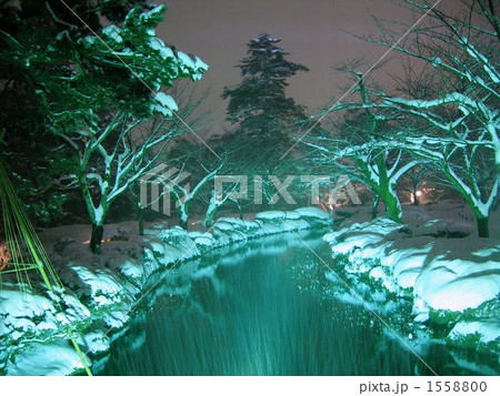 雪の花見橋にて 1558800