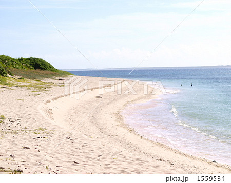 西の浜海岸線 1559534