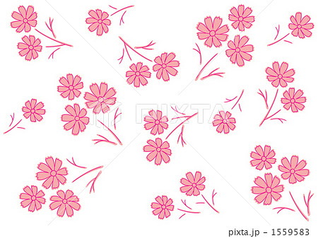 コスモス模様（白背景ピンク） 1559583