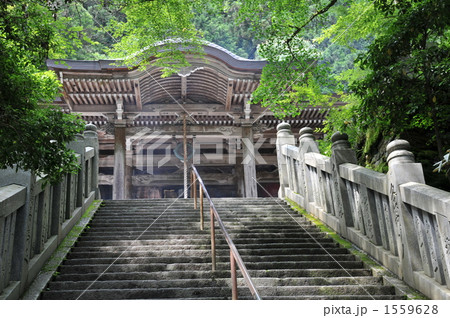 【四国八十八ヶ所】第四十四番　大宝寺 　夏の境内　仰ぎ見る本堂　愛媛県上浮穴郡久万高原町 1559628