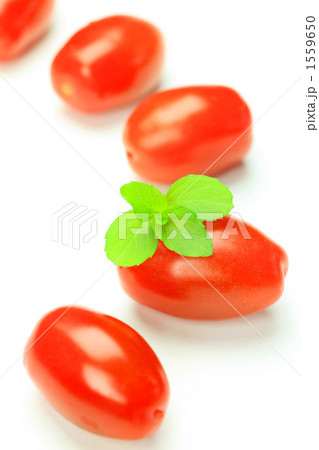赤トマト 赤トマト 1559650
