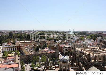 セビーリャ大聖堂のヒラルダの塔からのセビーリャの街の眺め 1559677