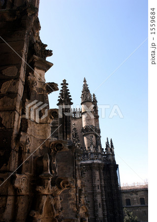 セビーリャ大聖堂のヒラルダの塔からの眺め 1559684