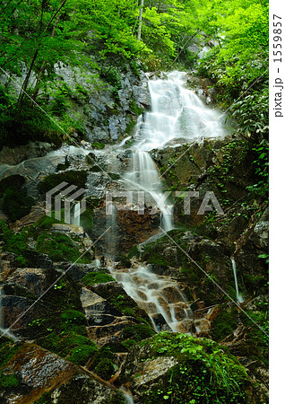 唐沢の滝 唐沢の滝 1559857