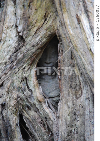 世界遺産　アンコール遺跡 1560057
