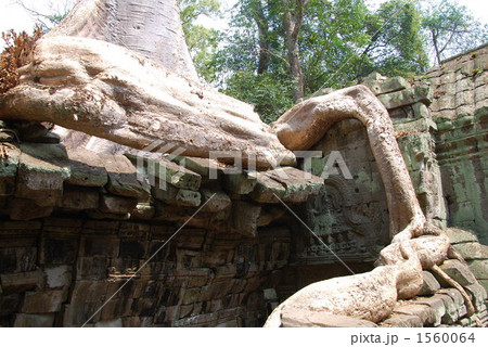 世界遺産 アンコール遺跡 世界遺産 アンコール遺跡 1560064