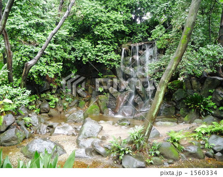 名主の滝公園 1560334