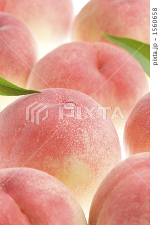 桃 桃 1560658