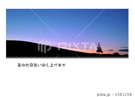 真夏でもクリスマスツリー 1561158